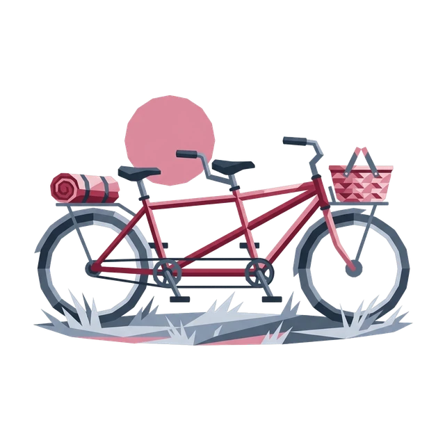 A tandem bike with a picnic basket in the sun.